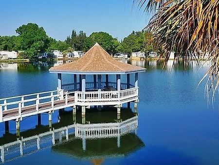 Winter Quarters Pasco Rv Resort - Campground Land O' Lakes Ngoại thất bức ảnh